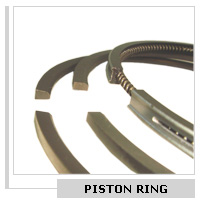 Piston Ring